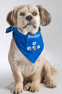 Buddy-CCS-Mascot-1-scaled